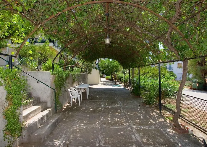 Soile Georgia