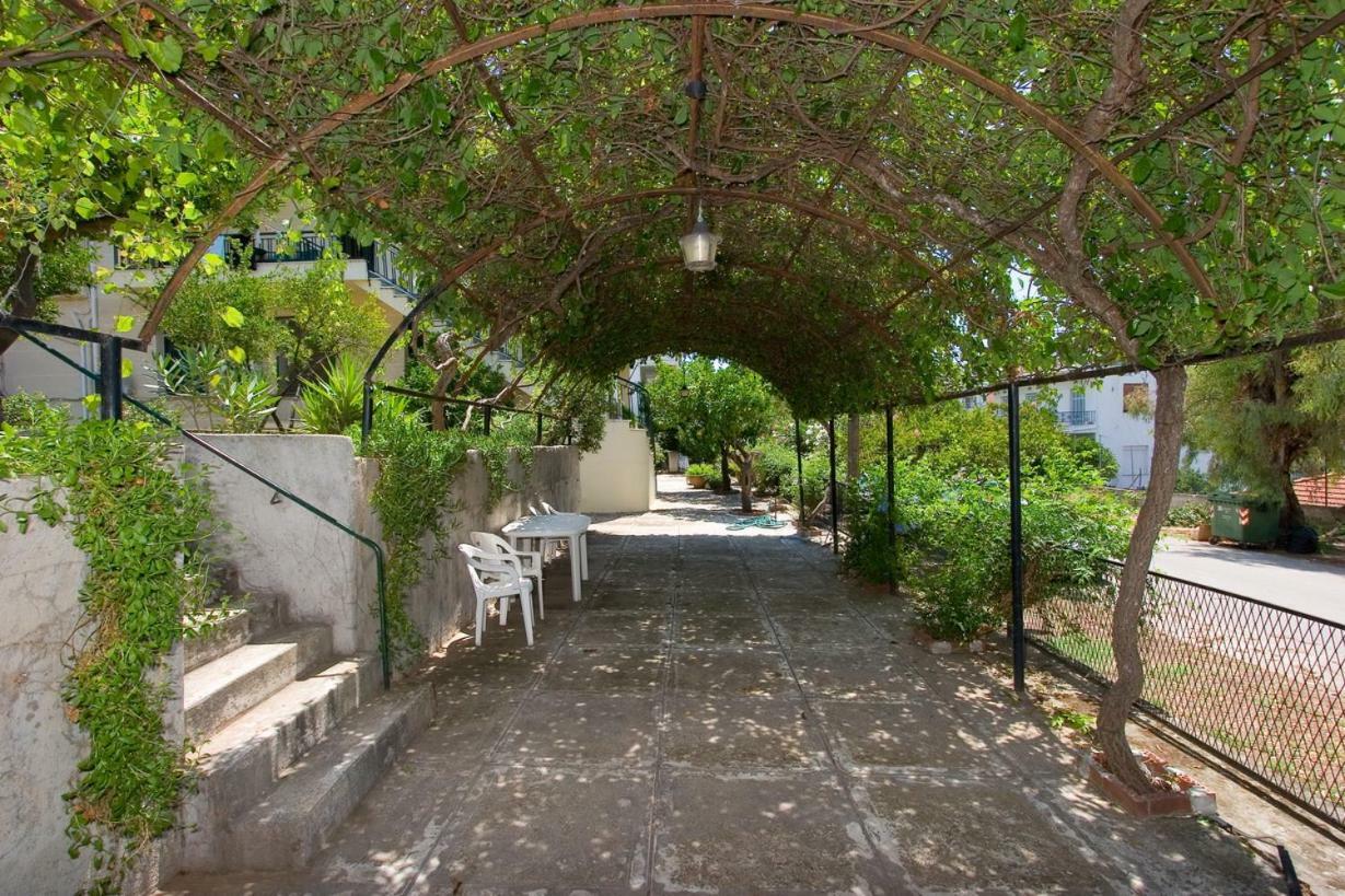 Soile Georgia * Loutra Edipsou (Evia)